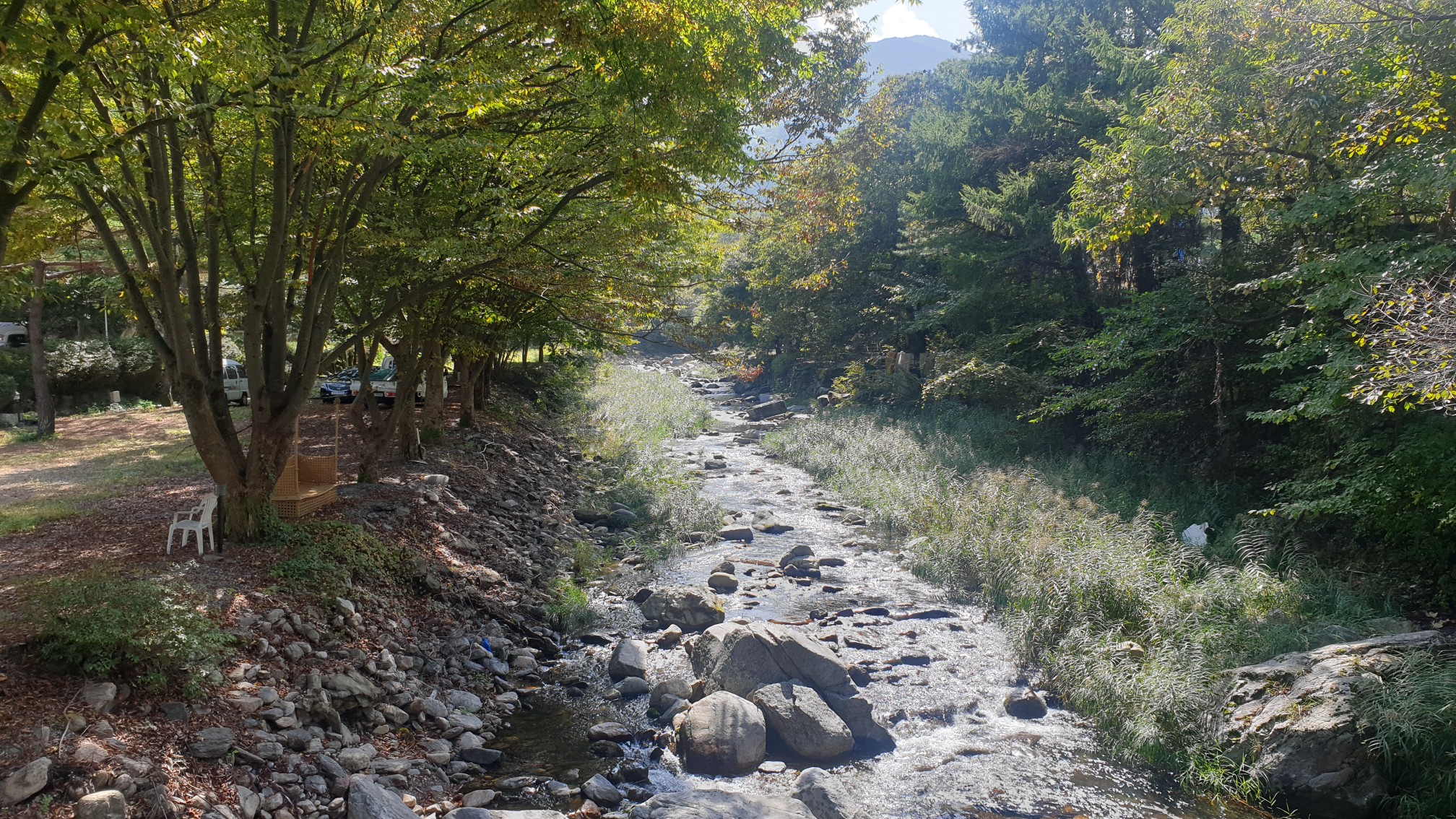 유명산자연휴양림