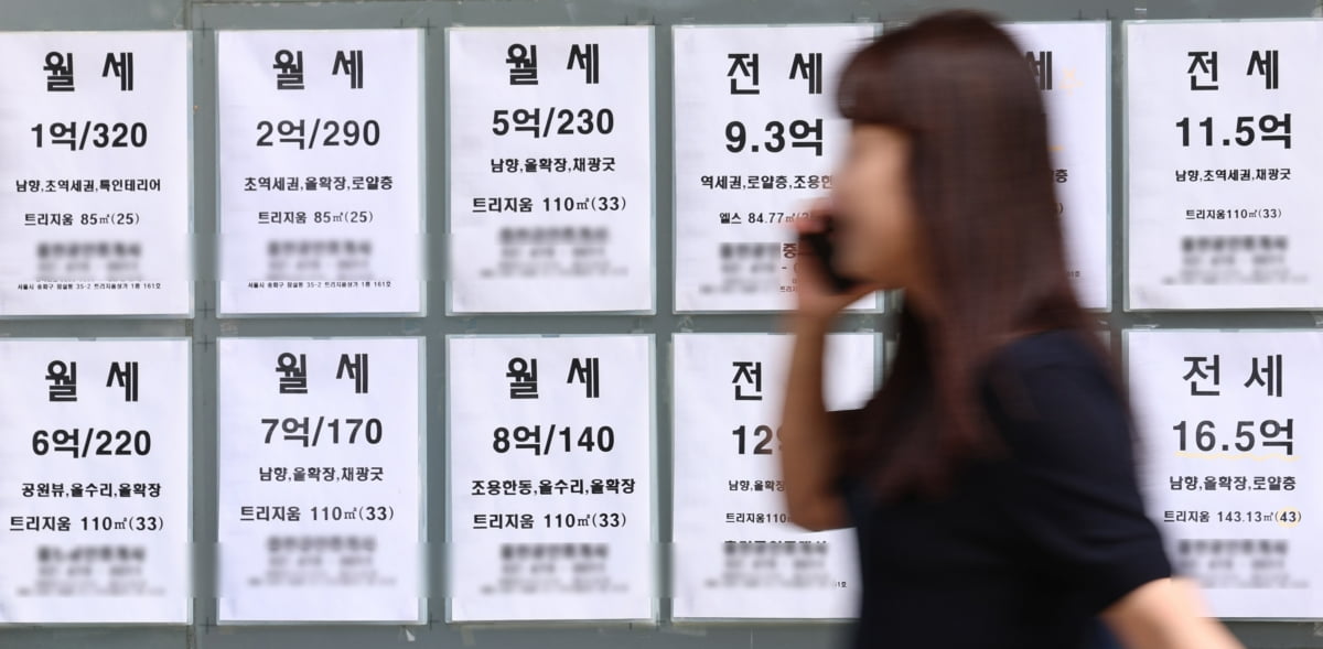 청년월세