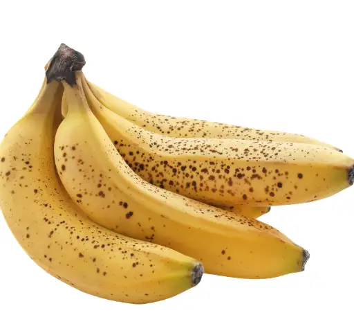 저혈압 증상과 원인, 저혈압에 좋은 영양제