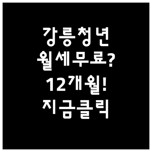 강릉시 청년월세지원 12개월 지급 혜..