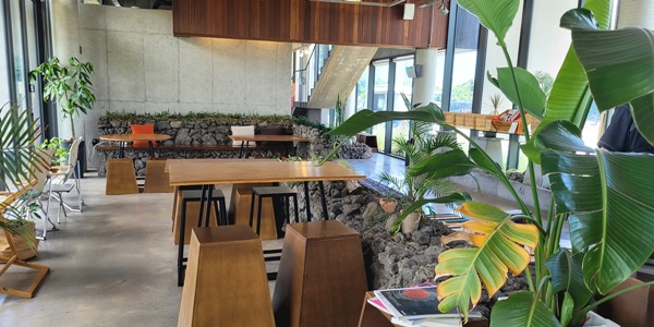 어라운드 폴리 실내 펍&amp;카페