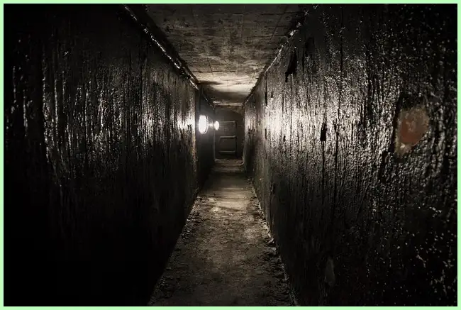 내 주변 주위 대피소 찾기