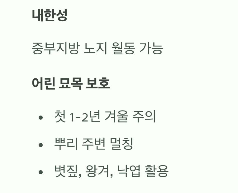 추운 겨울, 어린 나무를 위한 작은 배려