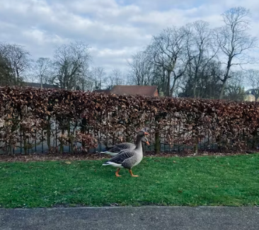 66년생 국민연금 수령나이 수령시기 예상수령액