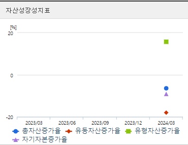 아이빔테크놀로지 자산성장성지표