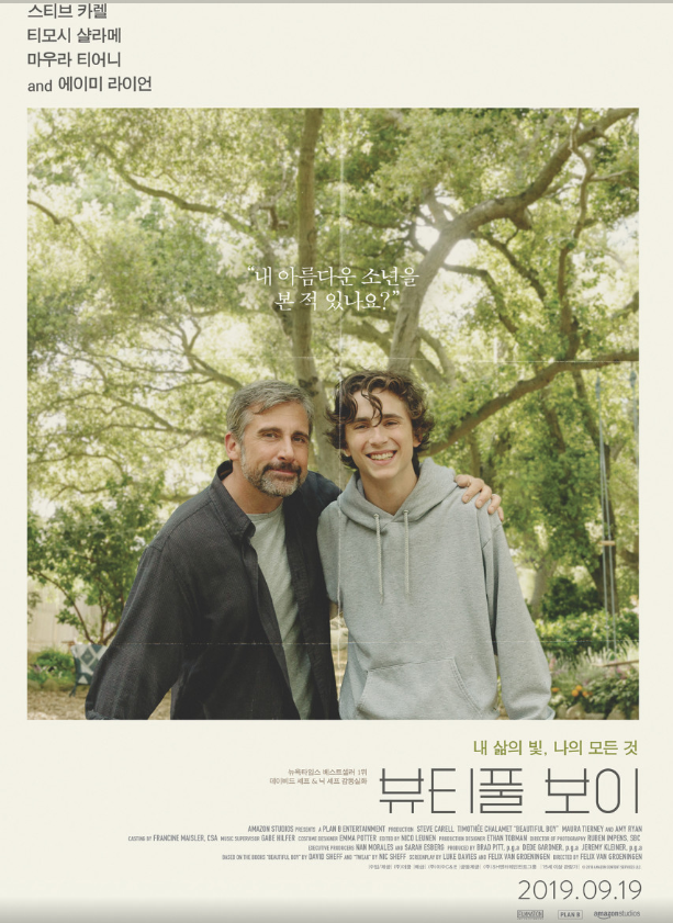영화 뷰티풀 보이 포스터