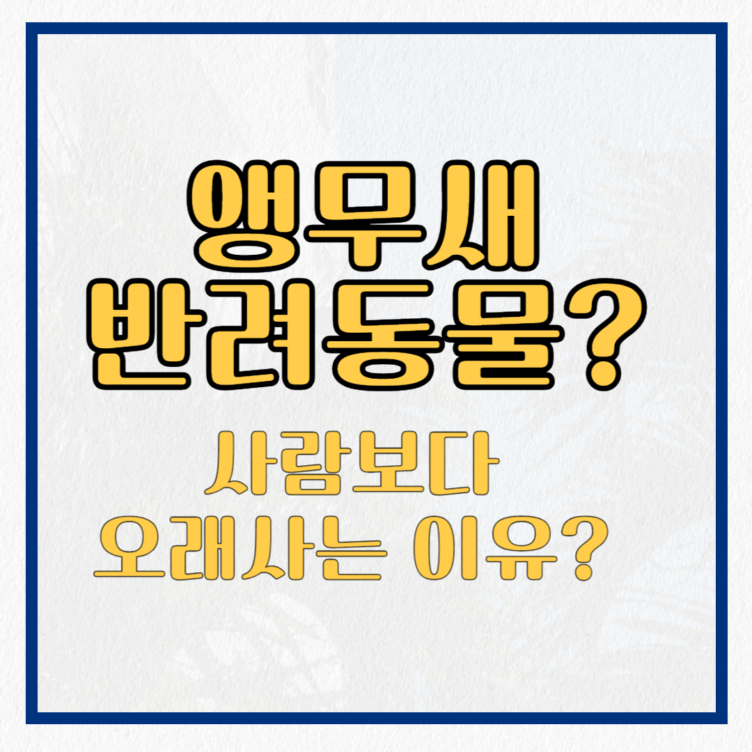 앵무새가 반려동물이라고? 사람보다 오래 사는 이유는?