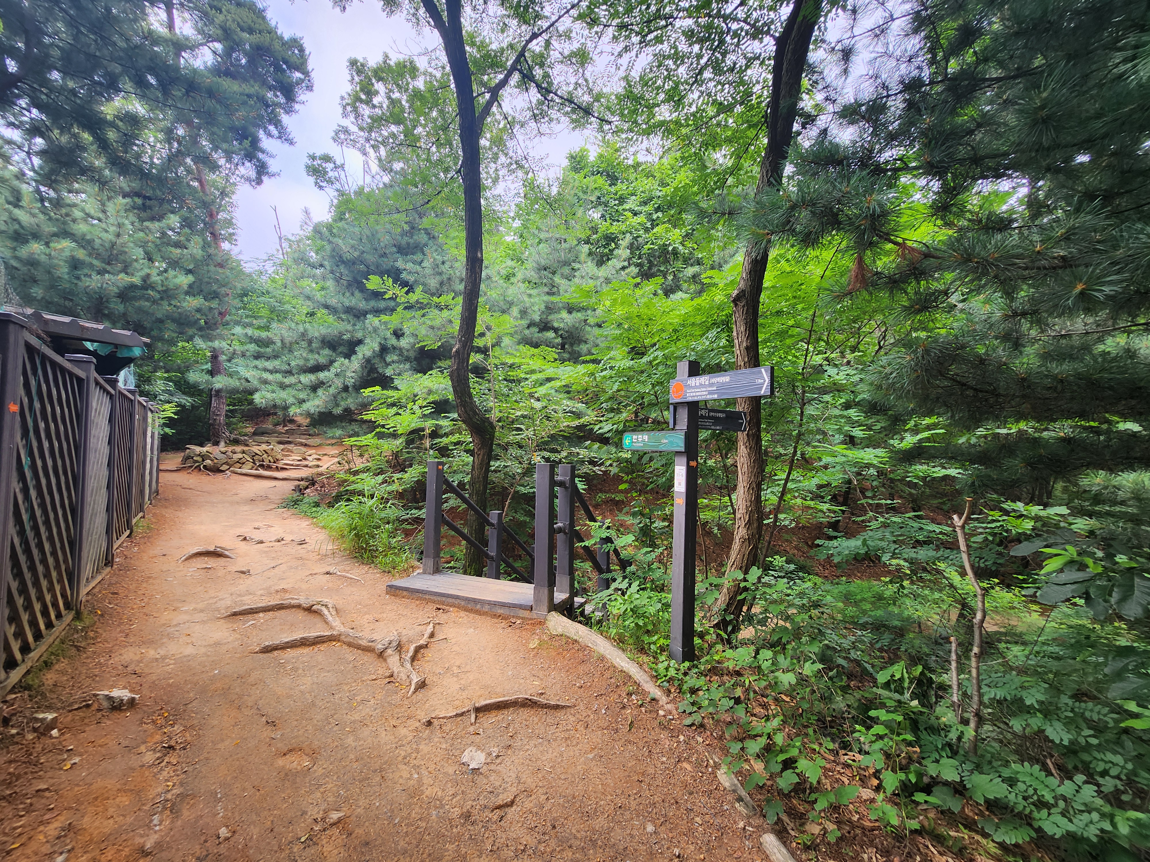 관악산 (14)