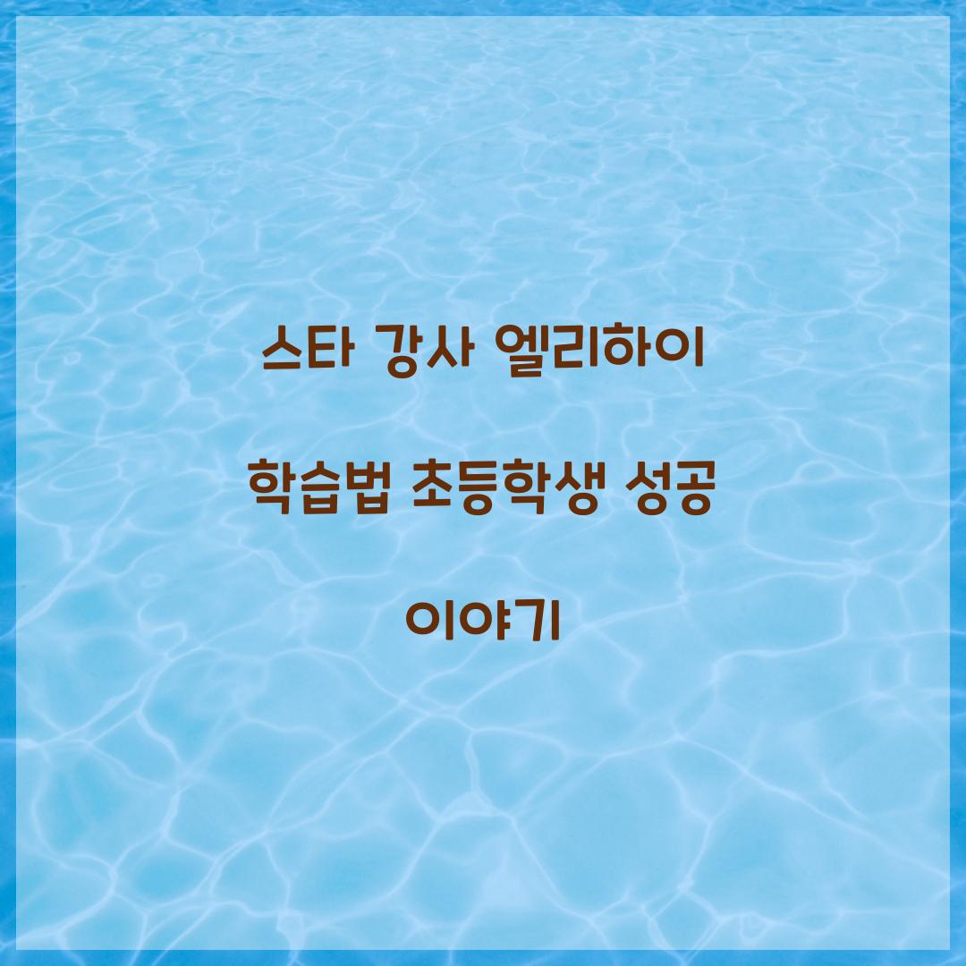 스타 강사 엘리하이 학습법