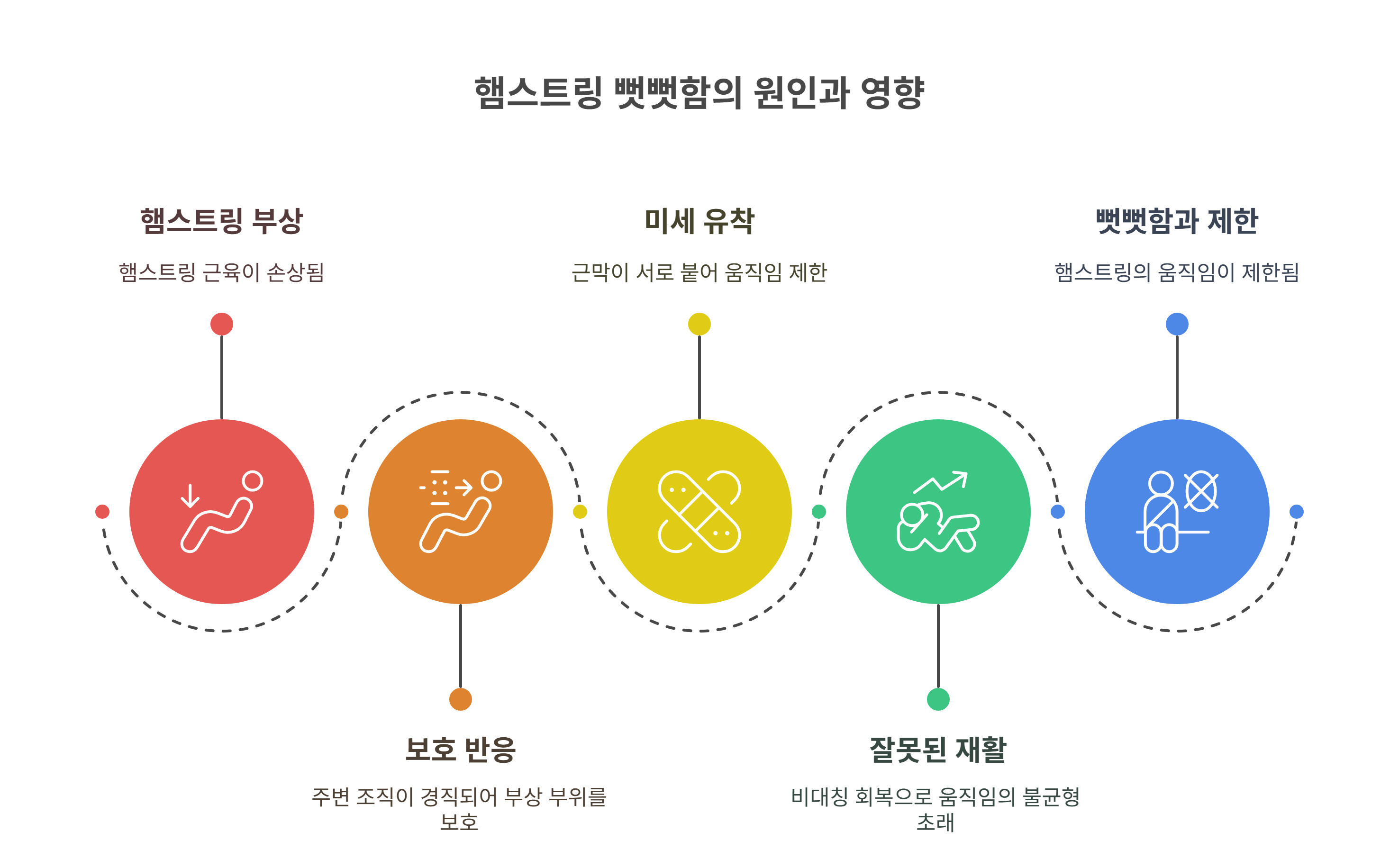 햄스트링이 뻣뻣해지는 이유는?