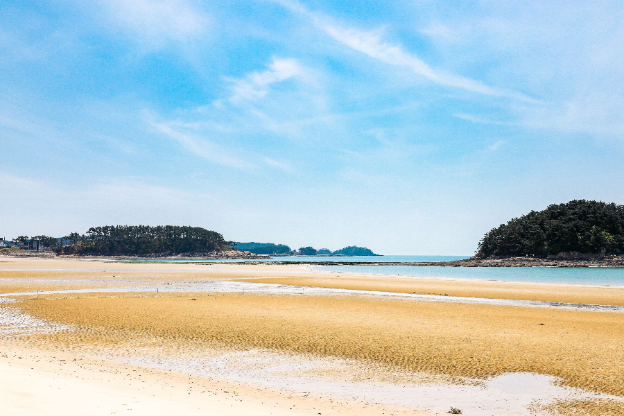 태안 가볼만한 곳