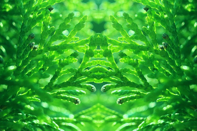 사회초년생 재테크 순서 총정리