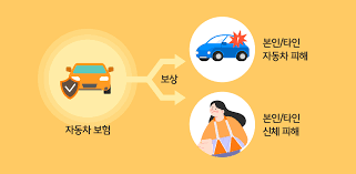 운전자보험 특약 이것만 알면 보험료 50% 절약