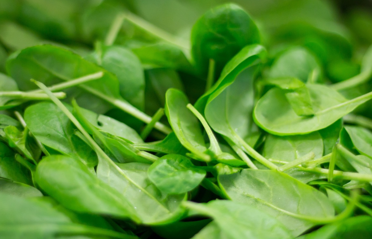 시금치-효능