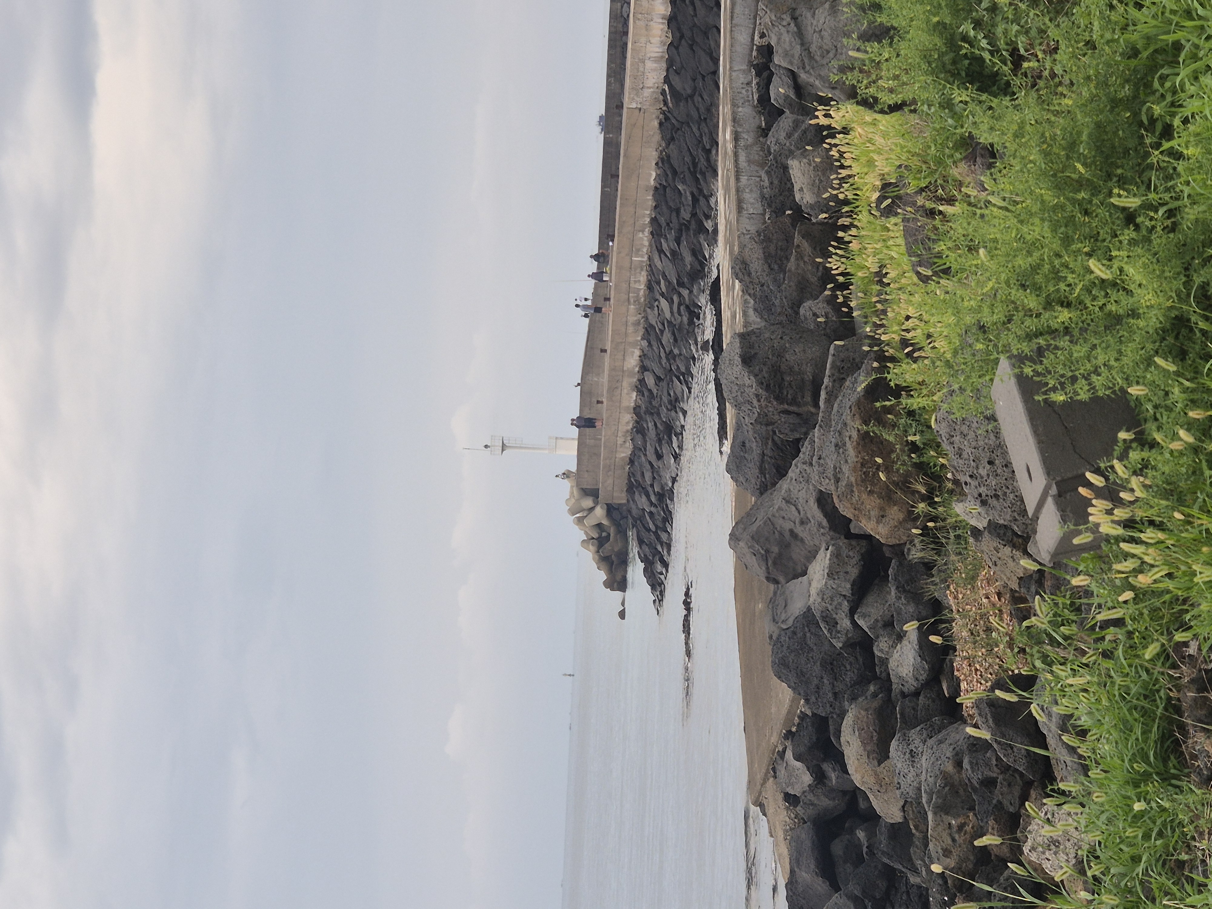 제주도 맛집 추천 딱새우 해물 찜 최고 ! - 금능피어22