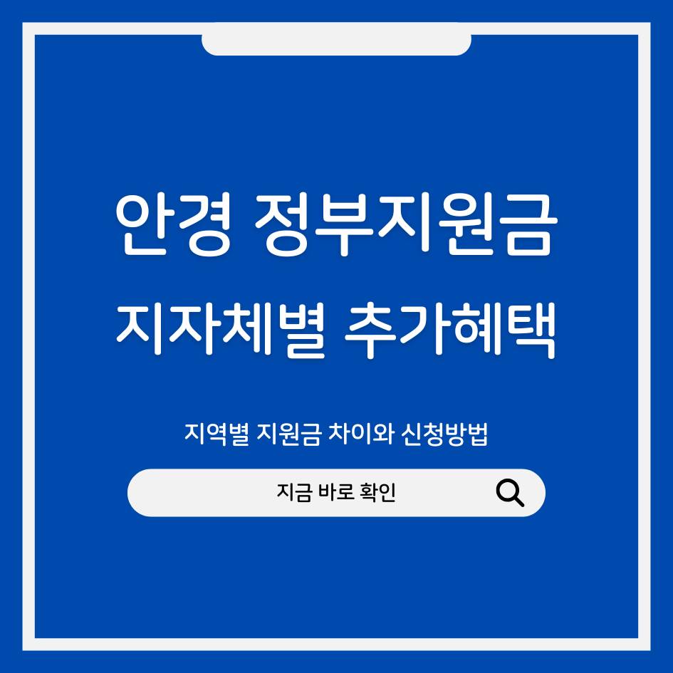 2025 지자체별 안경 정부지원금 추가혜택 총정리｜지역별 지원금 차이와 신청방법