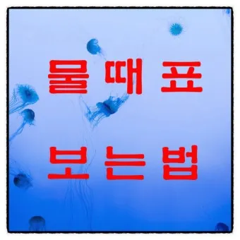 물때표 물때 시간표 낚시터 낚시 서해 남해 인천 통영 물때_20