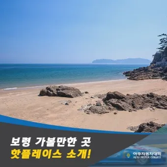 보령 가볼만한곳 맛집 추천 카페 아이랑 베스트 10_4