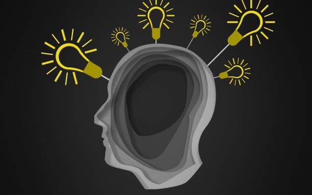 두뇌는 자는 동안 무엇을 할까? 기억과 학습의 비밀