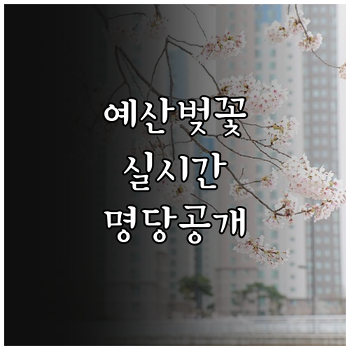 충남 예산 벚꽃 구경하기 좋은 곳과 ..