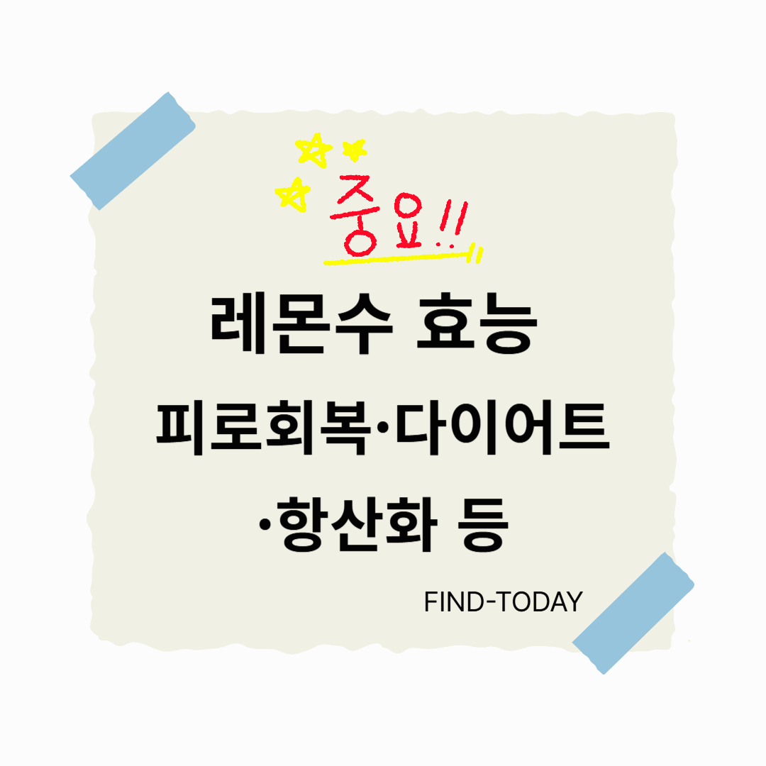 레몬수 효능 : 피로회복, 다이어트, 항산화 등