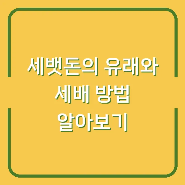 세뱃돈의 유래와 세배 방법 알아보기