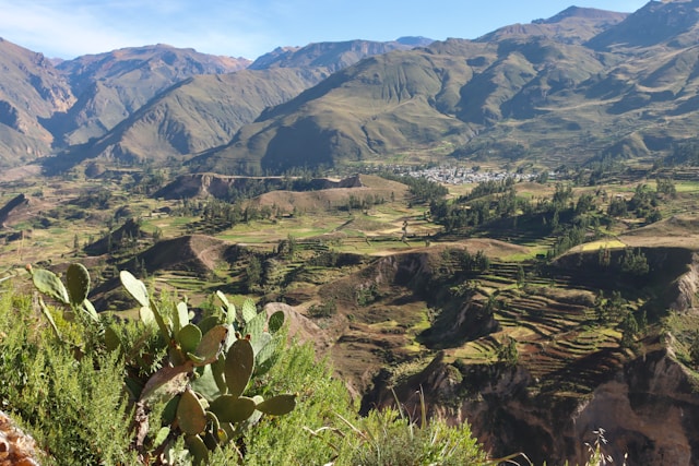 Colca Canyon