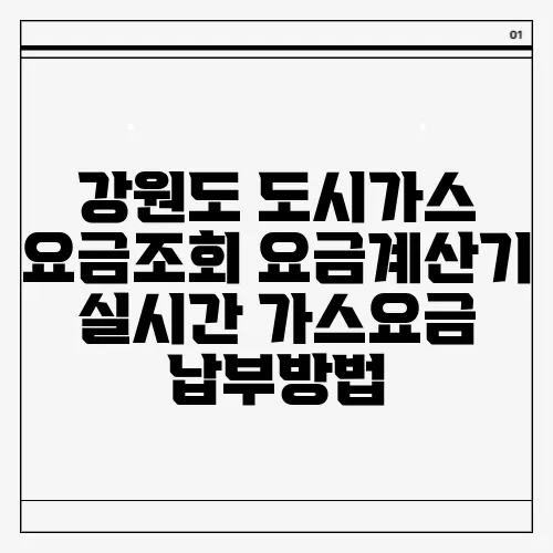 강원도 도시가스 요금조회 요금계산기 실시간 가스요금 납부방법