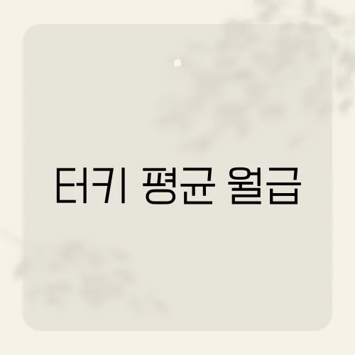 터키 평균 월급, 현지 근로자들의 소득 수준과 생활비는?