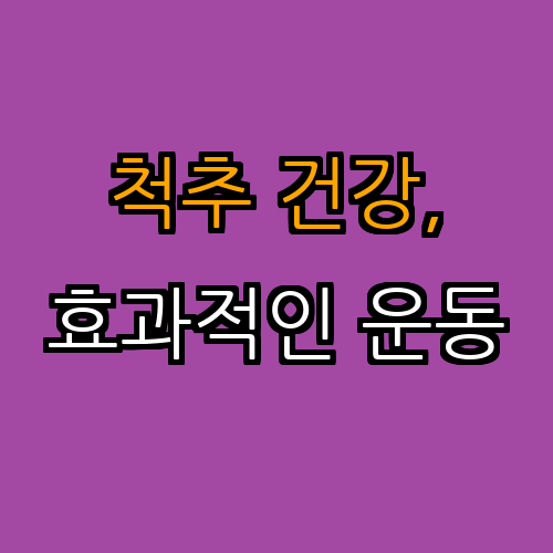 2. 척추 건강을 위한 효과적인 운동