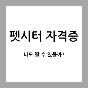 펫시터자격 교육과정 활동영역 창업준비 시니어 돌봄 일거리 찾기_21