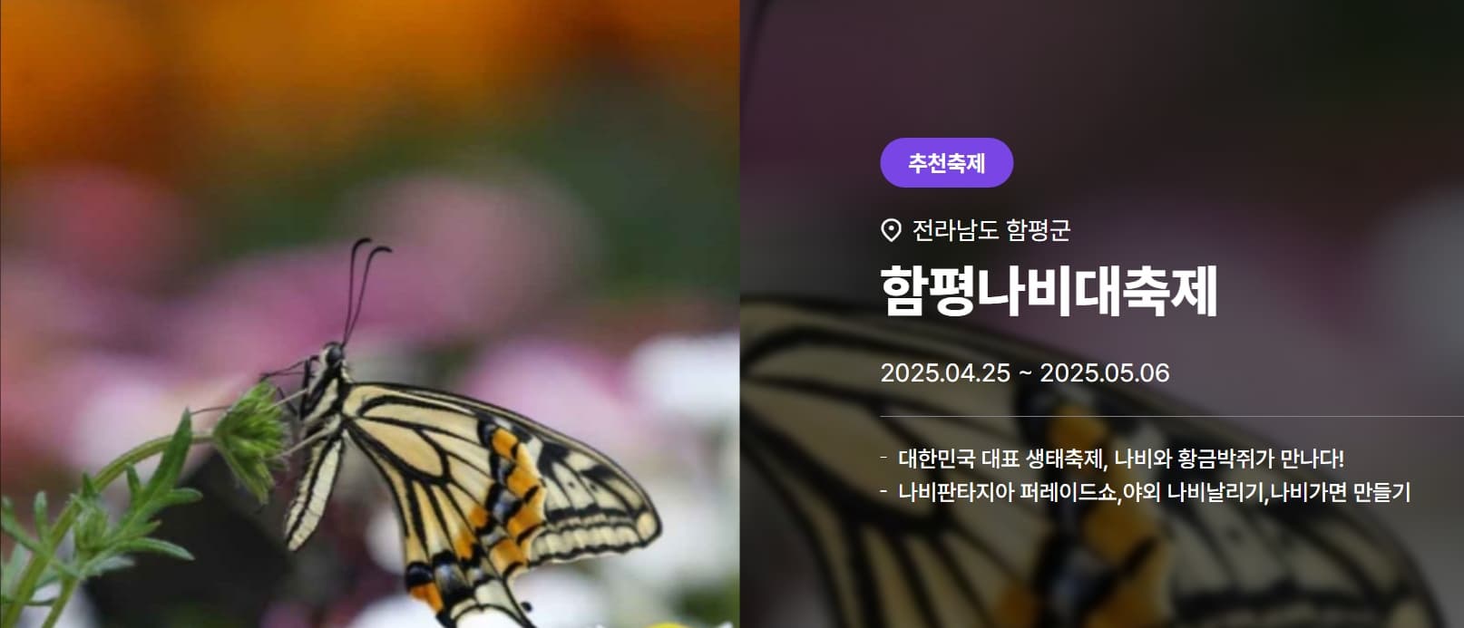 [4월 축제]2025 함평나비대축제｜일정, 기간, 입장권 예매 할인, 입장권 예약 이벤트, 공연, 체험프로그램 총정리