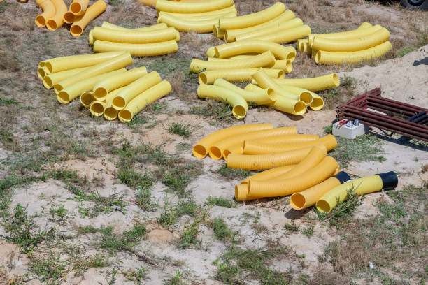 다발관 관련사진