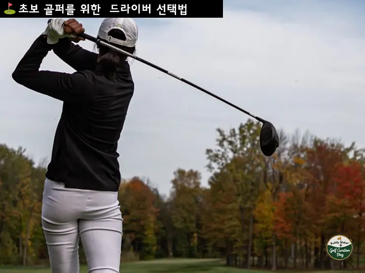초보 골퍼를 위한 실패없는 드라이버 선택법