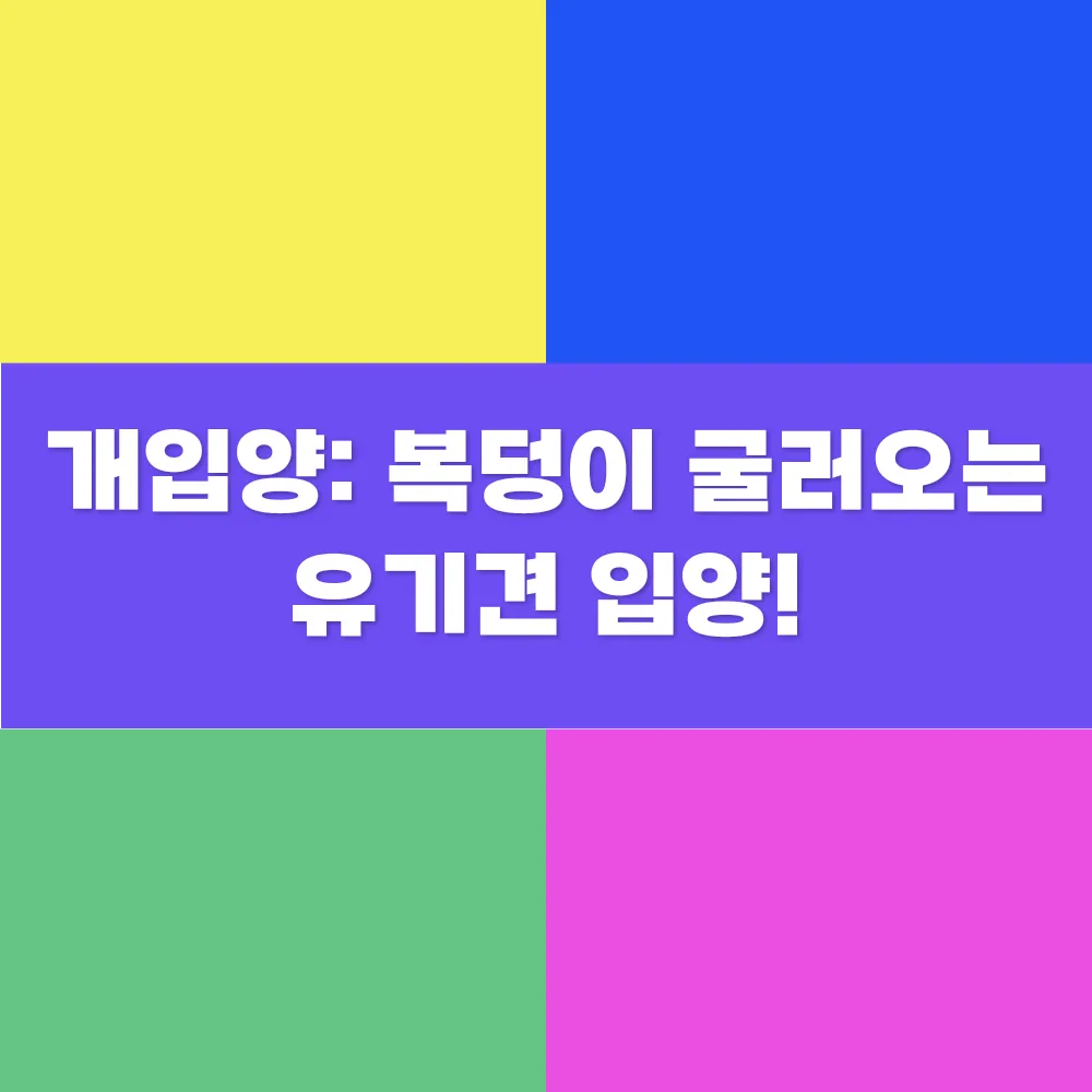 썸네일 이미지