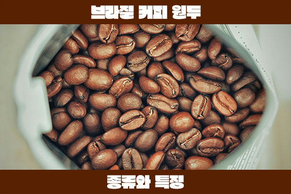 브라질 커피 원두 종류와 특징