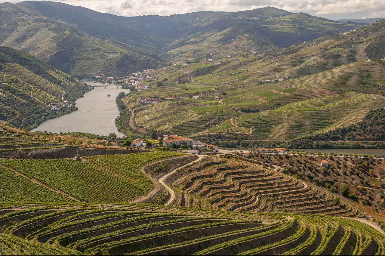 포르투갈 다우로밸리(Douro Valley) 관련 사진