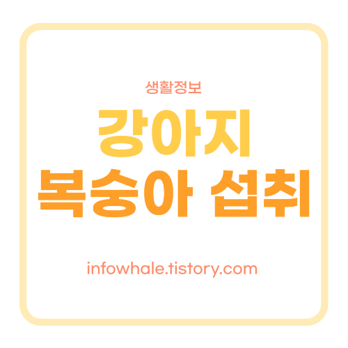 강아지 복숭아 먹어도 되나요