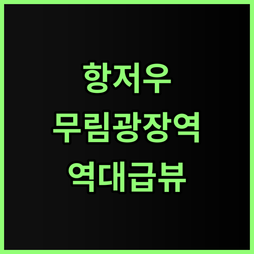 항저우 호텔 후기 무림광장역 직결된 ..