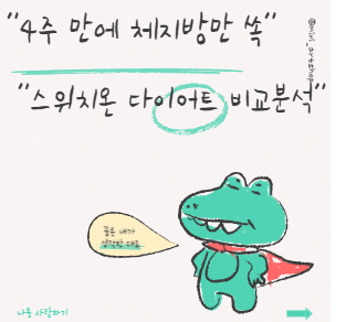 스위치온다이어트 비교