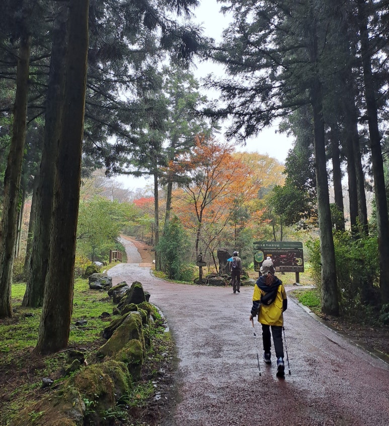 붉은오름 자연휴양림