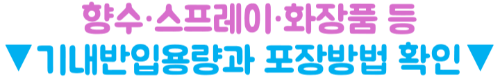 인천공항-보안검색-금지물품-총정리-노트북-액체류-보조배터리-면도기-고데기