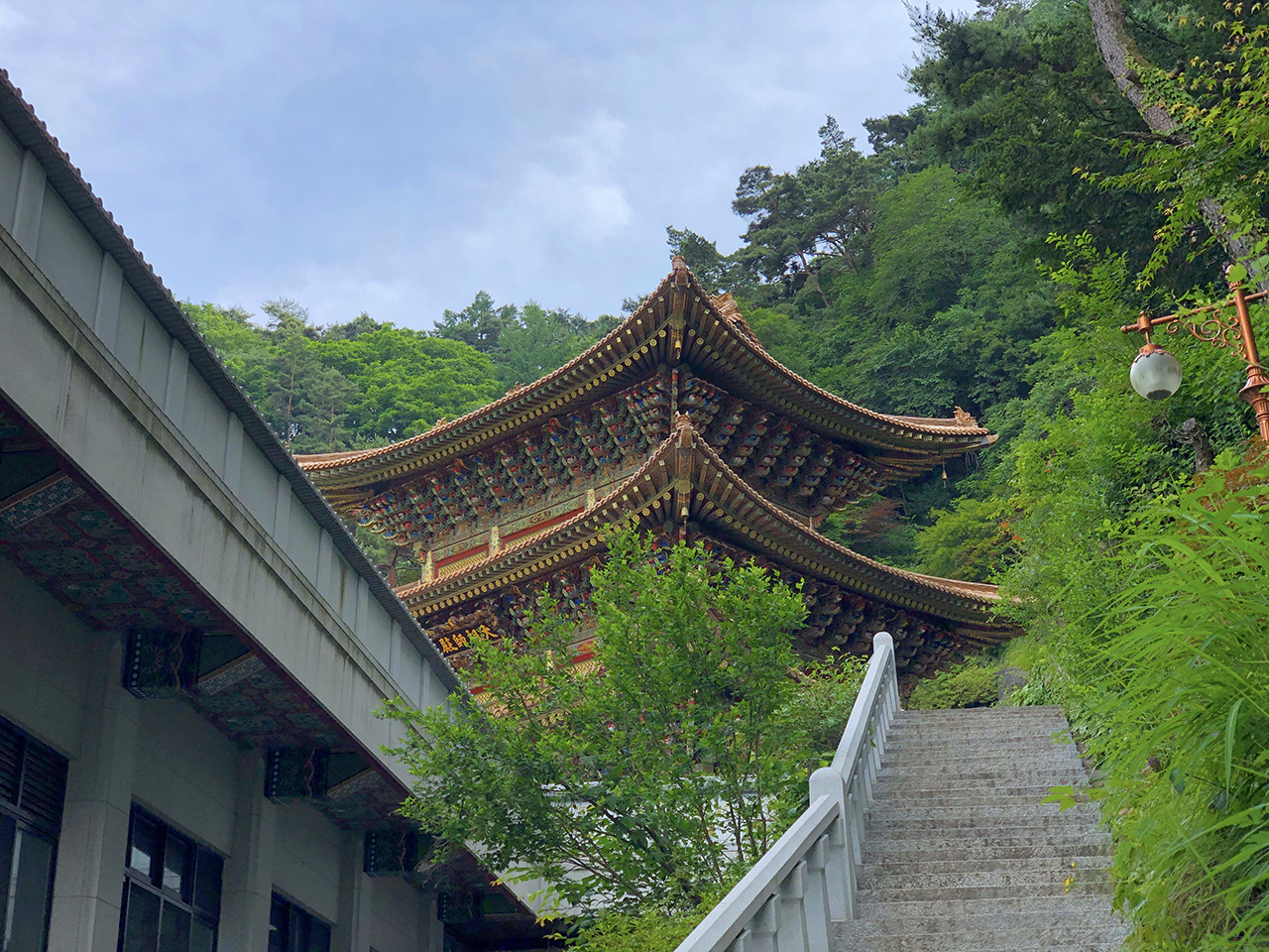 대조사전