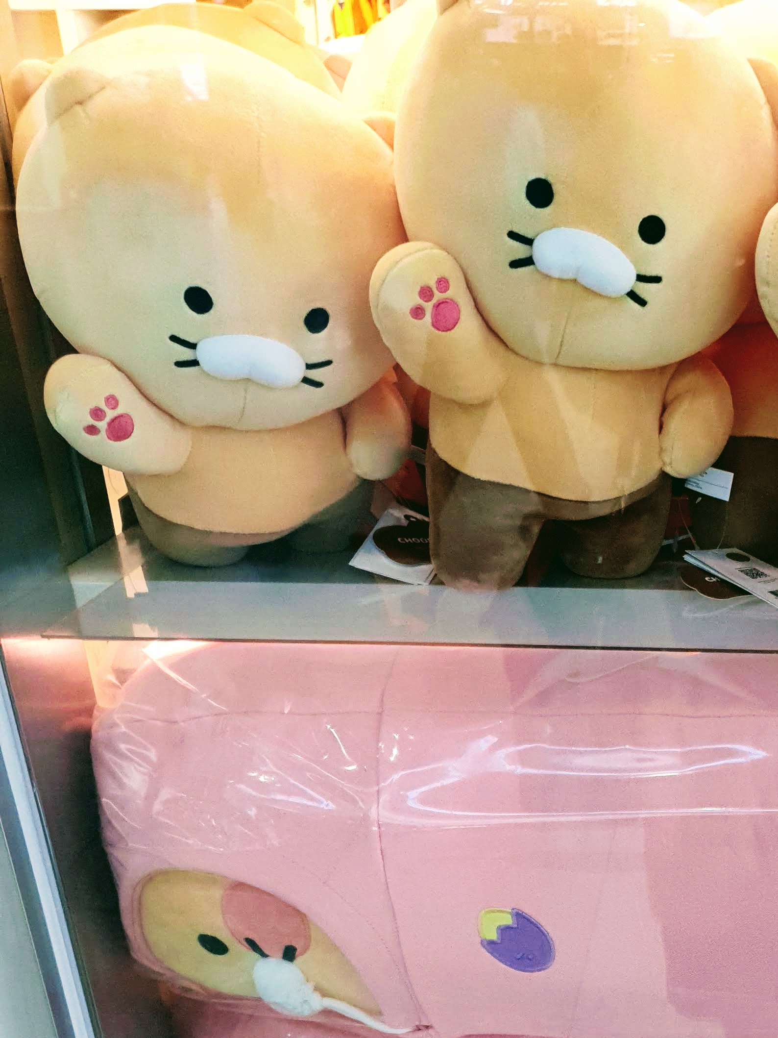 카카오프렌즈우산