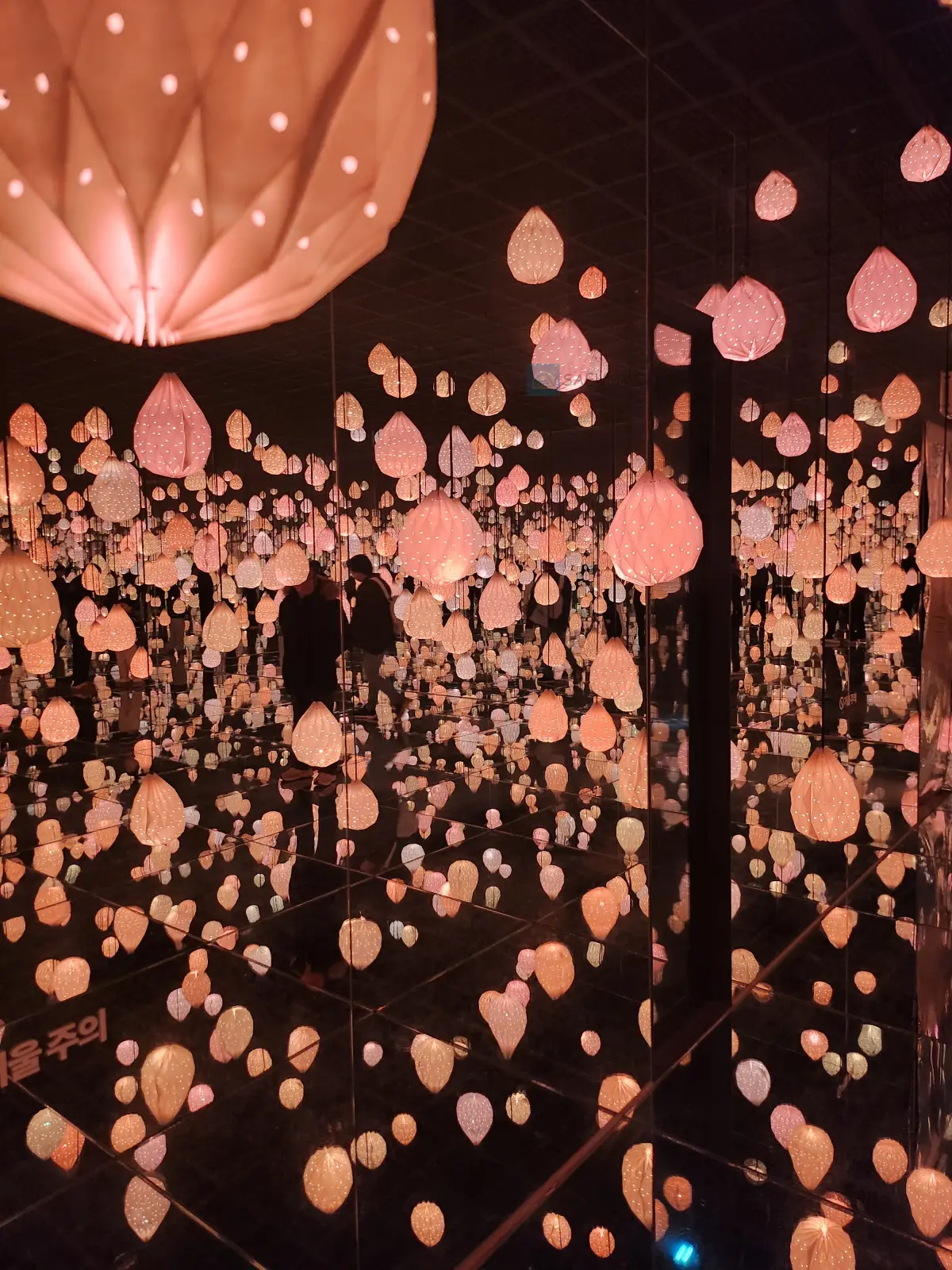 강릉-아르떼뮤지엄-스타-조경