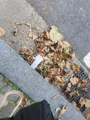 도로변 낙엽들과 담배꽁초들