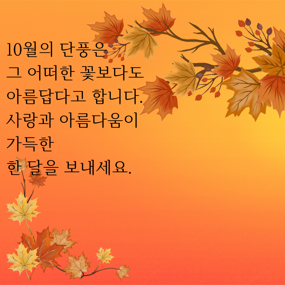 10월 가을 인사말 문구 이미지 모음 카톡 문자 안부 메세지