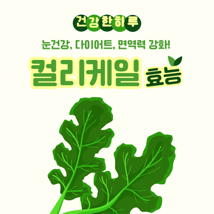 컬리케일효능