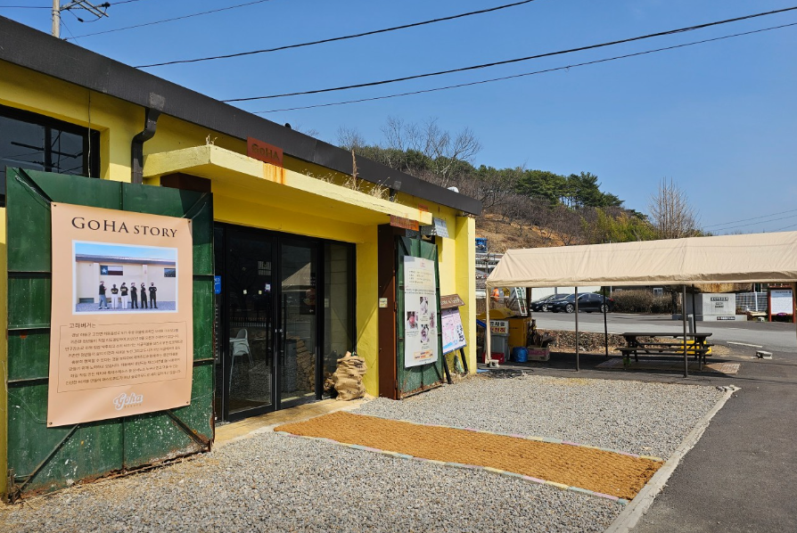 고하버거앤카페