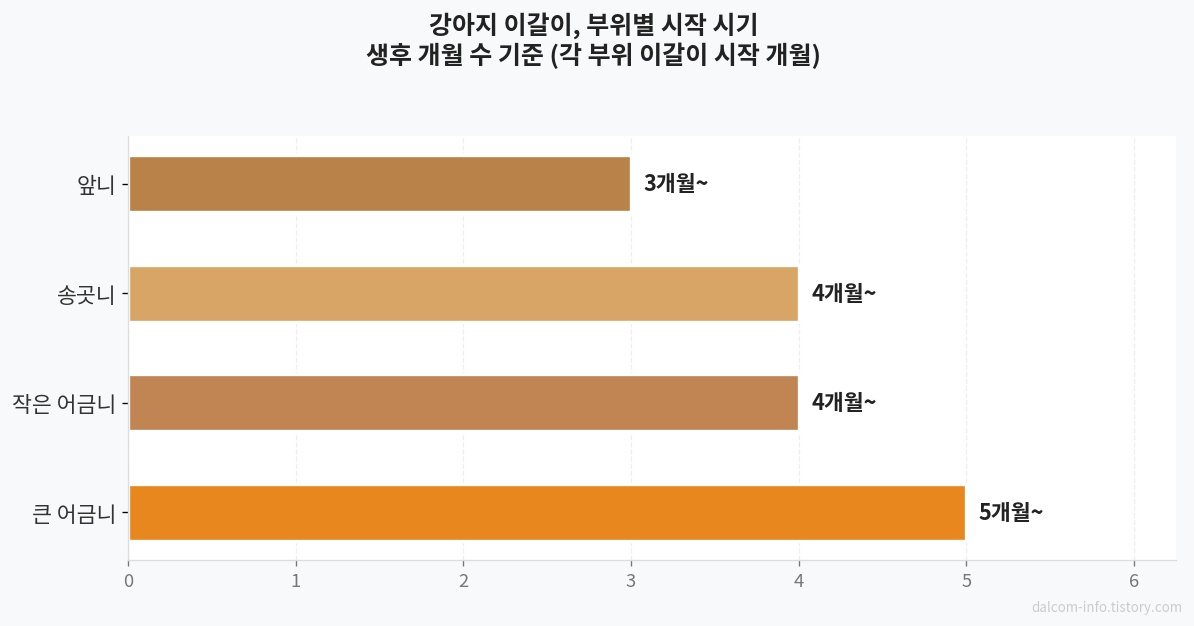 이갈이 시기별 치아 순서